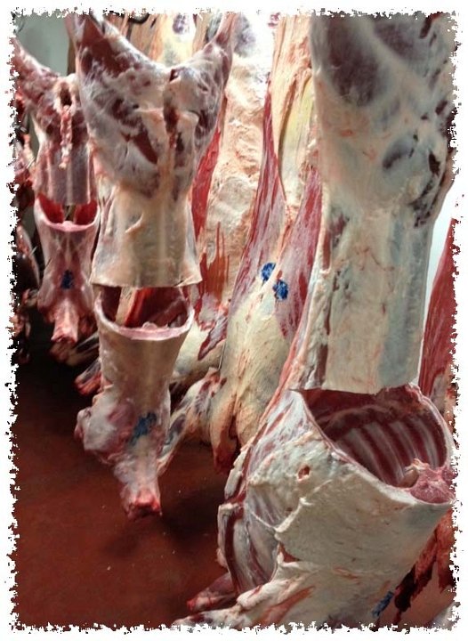 Meat lamb 1