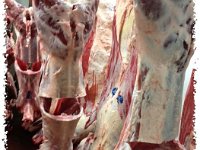 Meat lamb 1