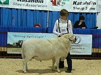 BRT 213W (3) : CWA 2012