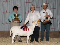 CSshow2008small : ewe, Supreme Champion, Best Katahdin